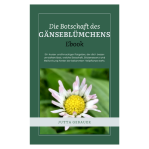 Ebook über die Pflanzenbotschaft des Gänseblümchens