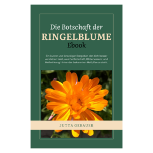 Ebook über die Pflanzenbotschaft der Ringelblume