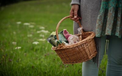 Der Frauendreißiger: Die „große Erntezeit der Heilpflanzen“